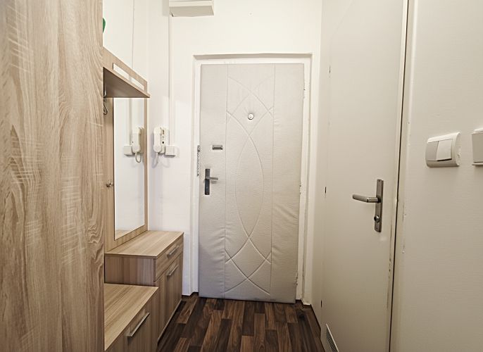 Pronájem, Byt 1+kk, Karviná