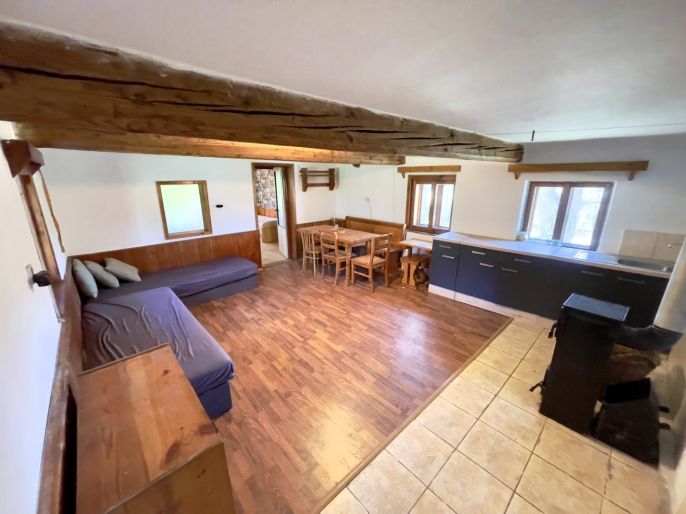 Prodej, Chalupa, Borotín