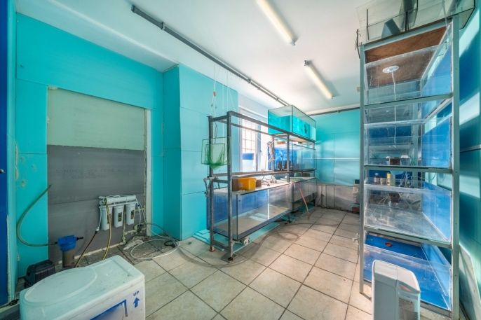 Prodej, Byt 3+kk, Skořice