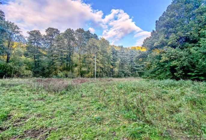 Prodej, Louka, Biskupice