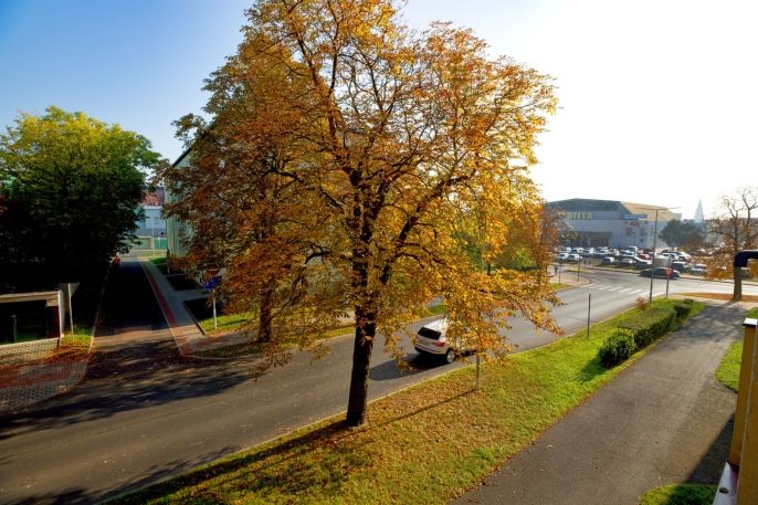 Prodej, Byt 3+1, Chomutov