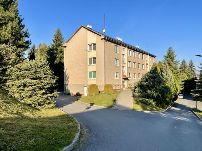 Pronájem, Byt 3+1, Letohrad