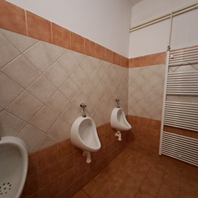 Prodej, Hotel, penzion, Široká Niva
