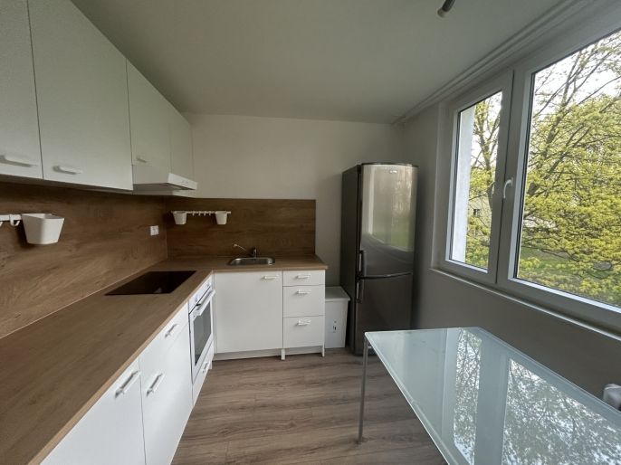 Pronájem, Byt 2+1, Ústí nad Labem