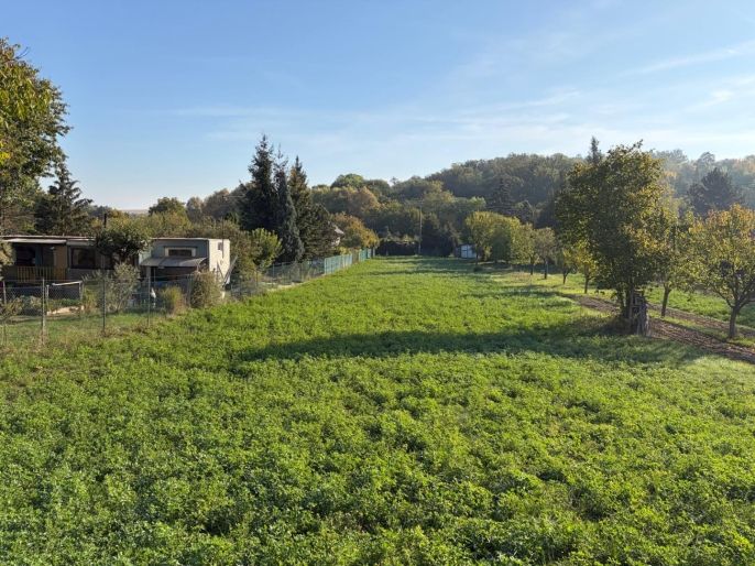 Prodej, Zahrada, Šlapanice