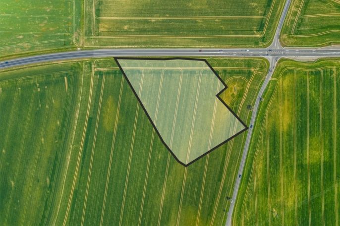 Prodej, Pole, Čistá