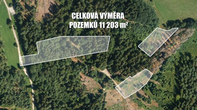 Prodej, Les, Železný Brod