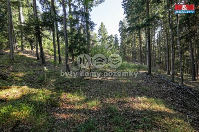 Prodej, Les, Petrovice u Sušice