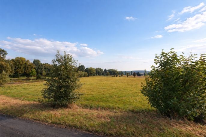 Prodej, Louka, Třemošná