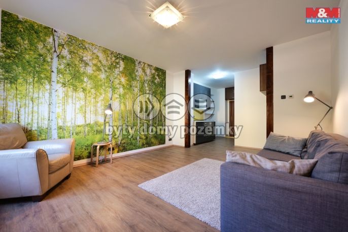 Prodej, Byt 1+kk, 30 m², Prostějov, Stanislava Manharda