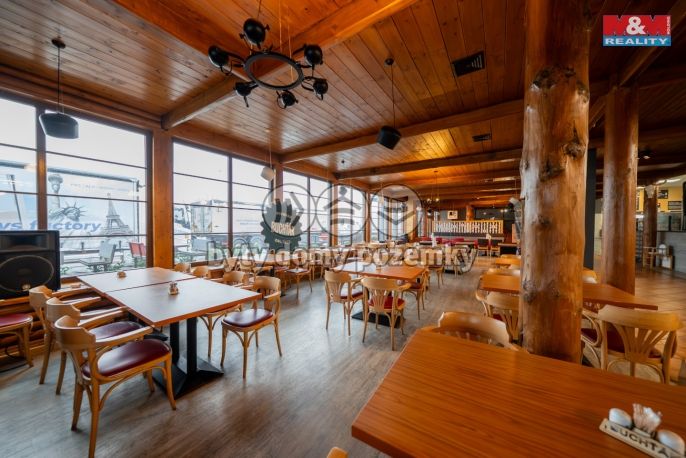 Pronájem, Restaurace, stravování, Olomouc