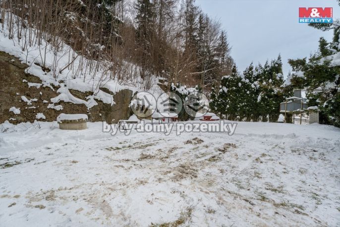 Prodej, Hotel, penzion, Janov nad Nisou