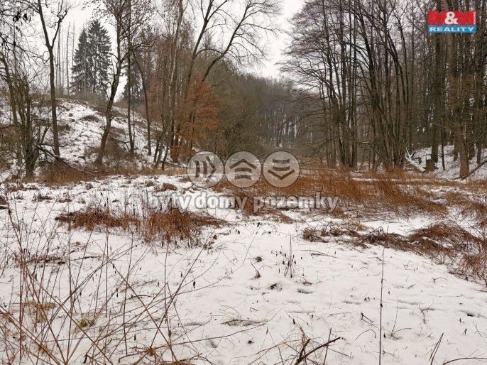 Prodej, Vodní plocha, Dolní Hořice