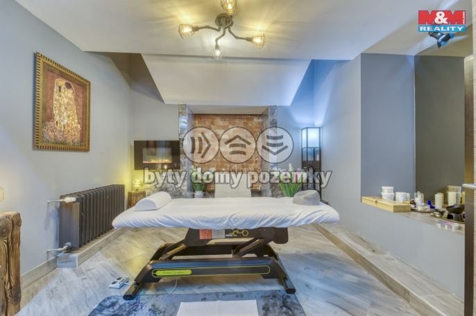 Prodej, Hotel, penzion, Karlovy Vary