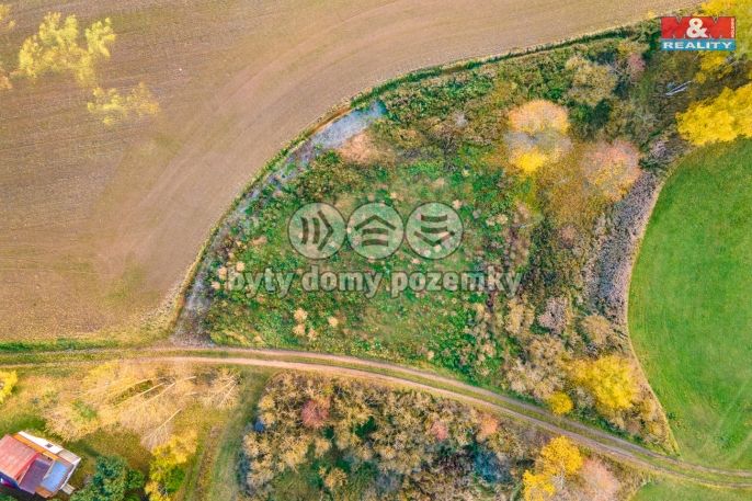 Prodej, Louka, Vysoká Libyně