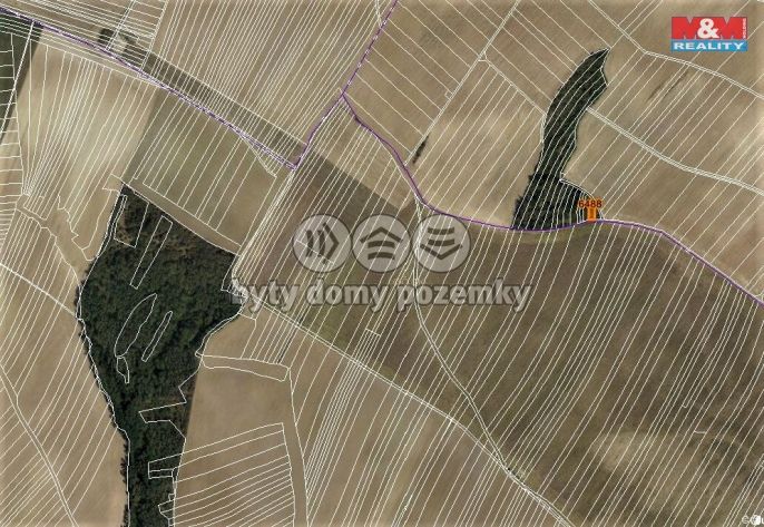 Prodej, Les, Ořechov