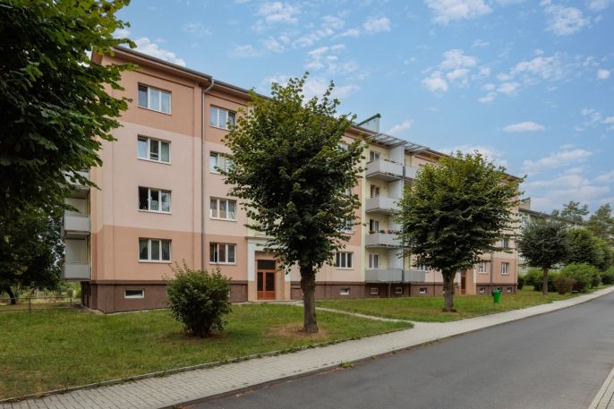 Prodej, Byt 2+1, Nová Role