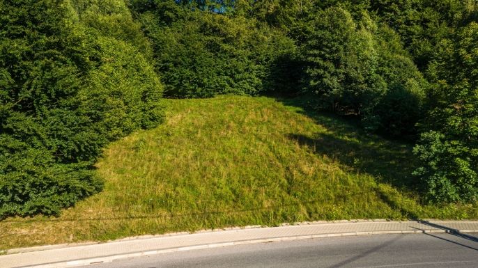 Prodej, Pozemek k bydlení, Oldřichov v Hájích