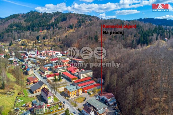 Prodej, Výrobní objekt, Desná