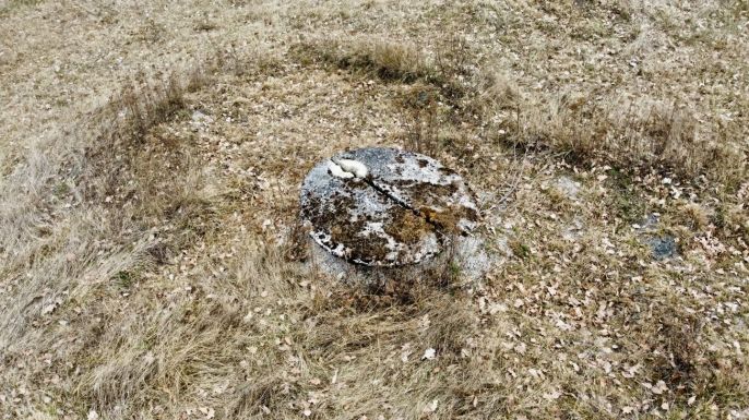 Prodej, Pozemek k bydlení, Počaply