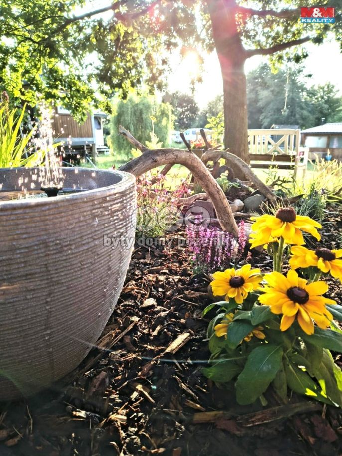 Prodej, Chata, Rokle