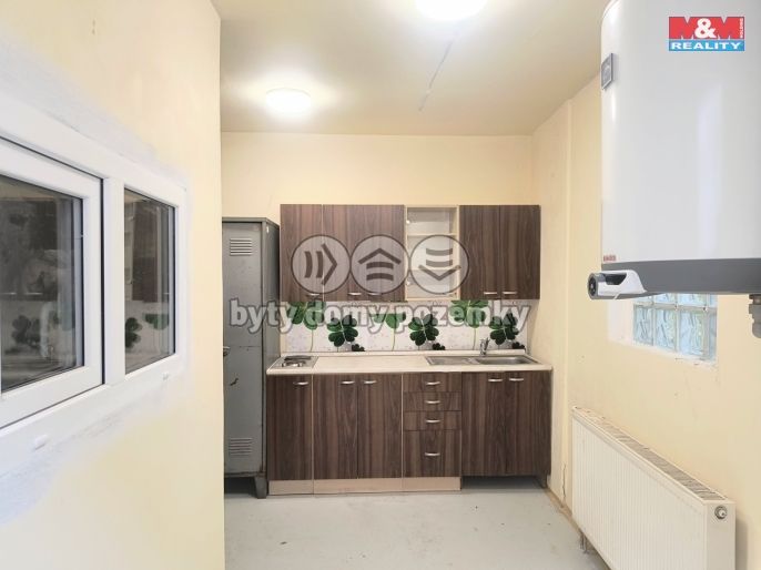 Pronájem, Obchod a služby, Slaný