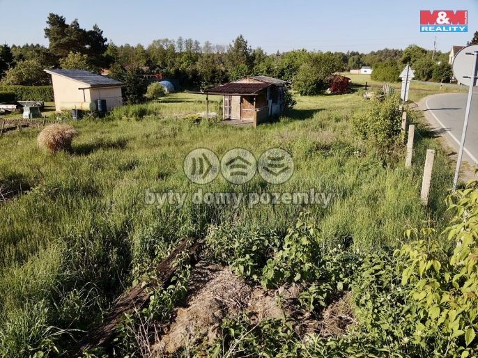 Prodej, Chata, Borohrádek