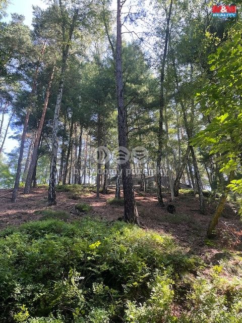 Prodej, Les, Mírová pod Kozákovem