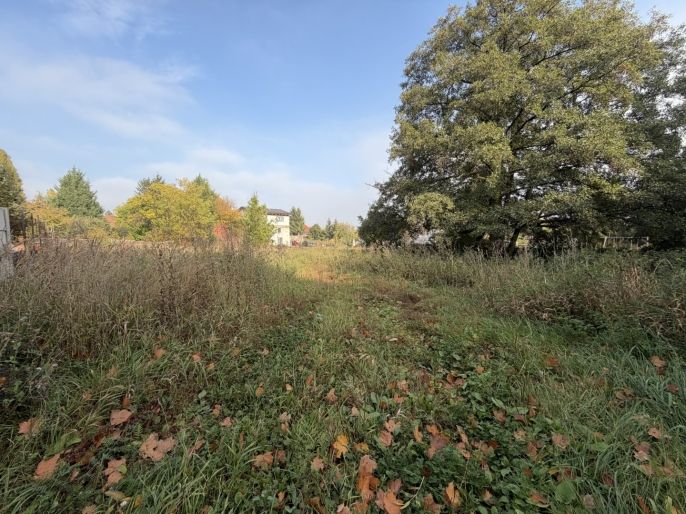Prodej, Ostatní, Údlice