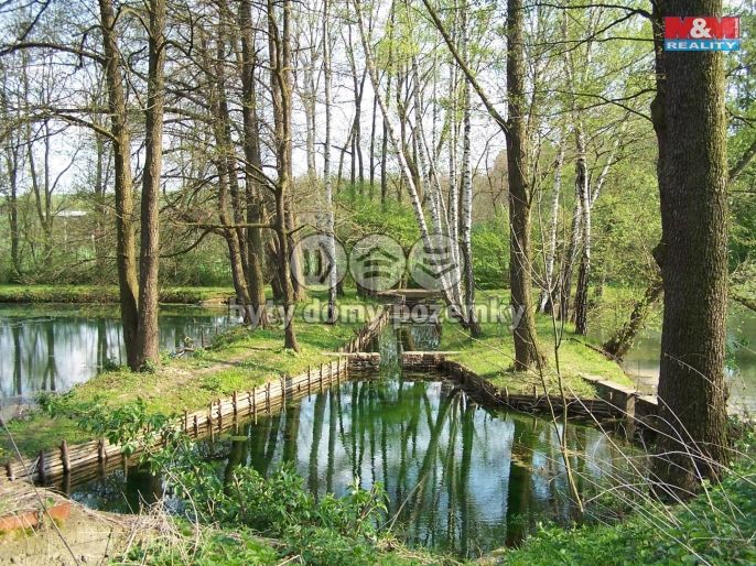 Prodej, Chata, Kropáčova Vrutice