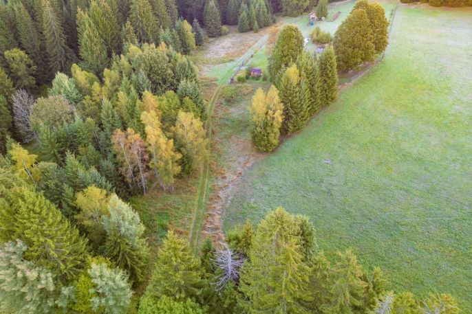Prodej, Ostatní, Lesná
