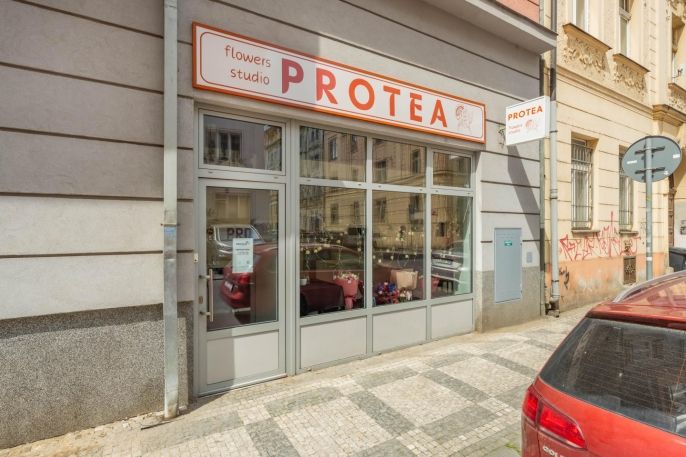 Pronájem, Obchod a služby, Praha
