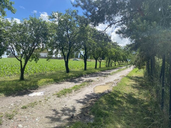 Prodej, Zahrada, Dobruška