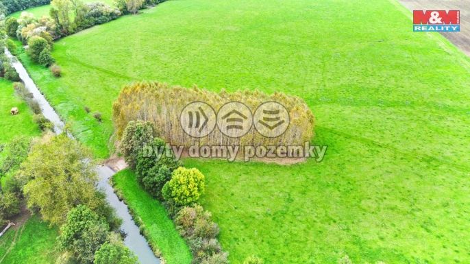 Prodej, Les, Skřivany