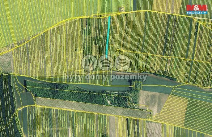 Prodej, Vinice, Brumovice