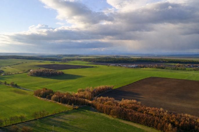 Prodej, Pozemek k bydlení, Tuřany