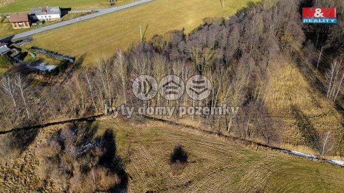 Prodej, Louka, Dětřichov