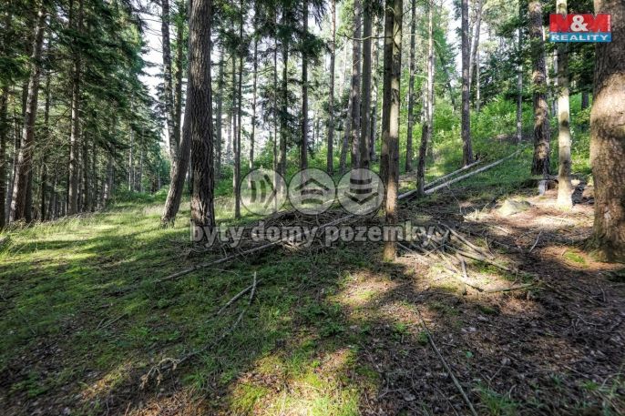 Prodej, Les, Petrovice u Sušice