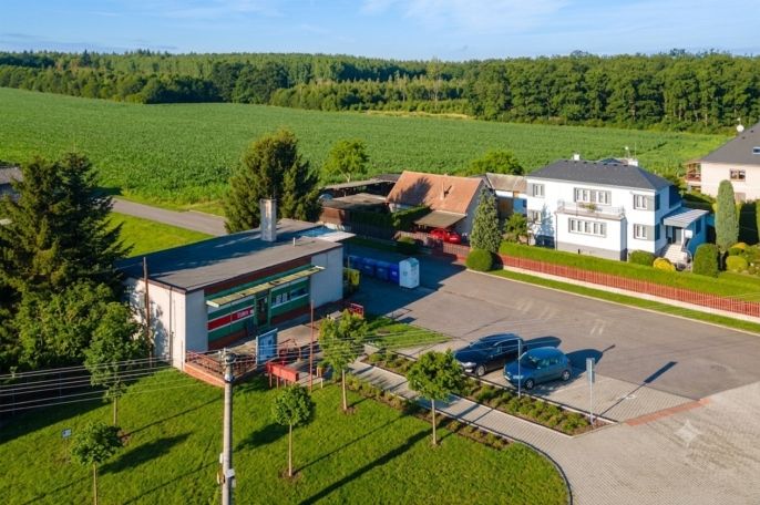 Prodej, Obchod a služby, Králíky