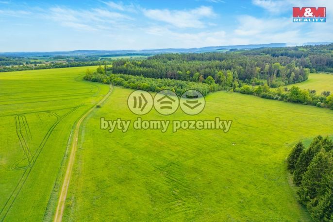 Prodej, Louka, Lešetice