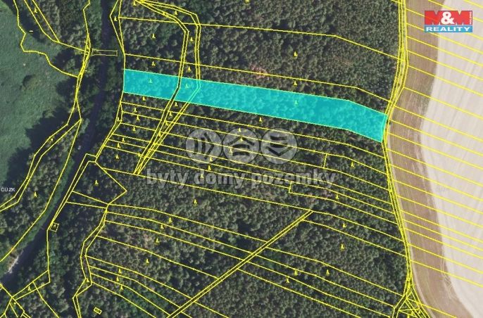 Prodej, Les, Lužná