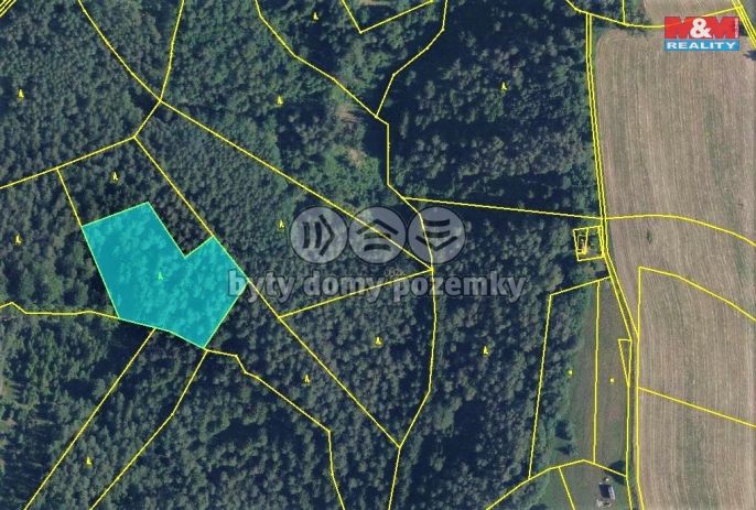 Prodej, Les, Všelibice