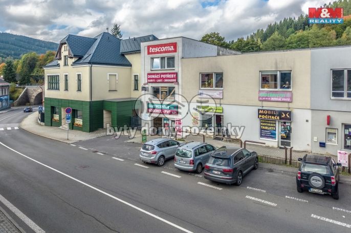 Prodej, Obchod a služby, Tanvald