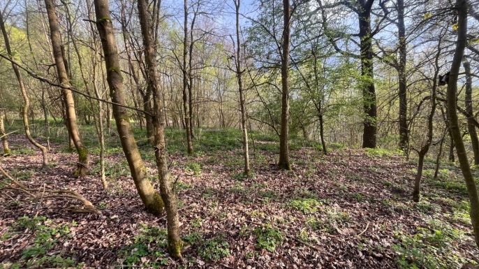 Prodej, Pole, Písek