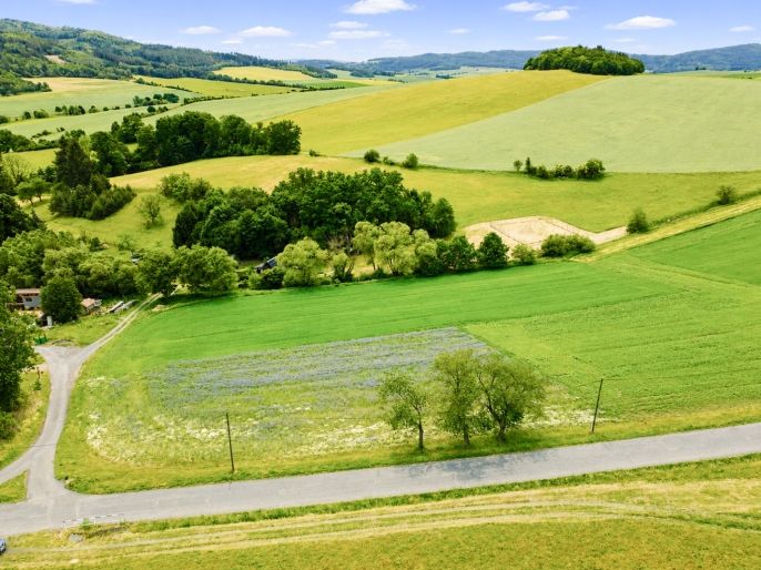 Prodej, Pozemek k bydlení, Poleň