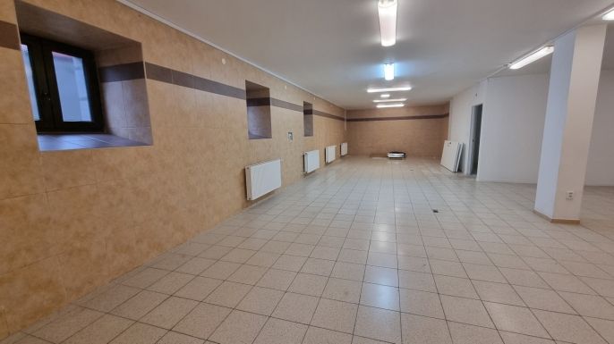 Pronájem, Obchod a služby, Český Těšín