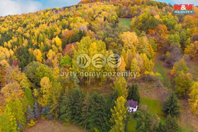 Prodej, Les, Skalice u České Lípy