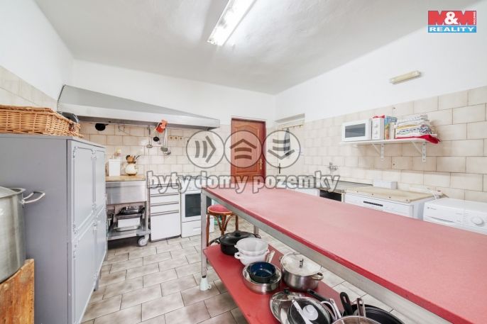 Prodej, Hotel, penzion, Dolní Žandov