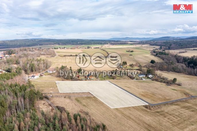 Pronájem, Pastvina, Tymákov