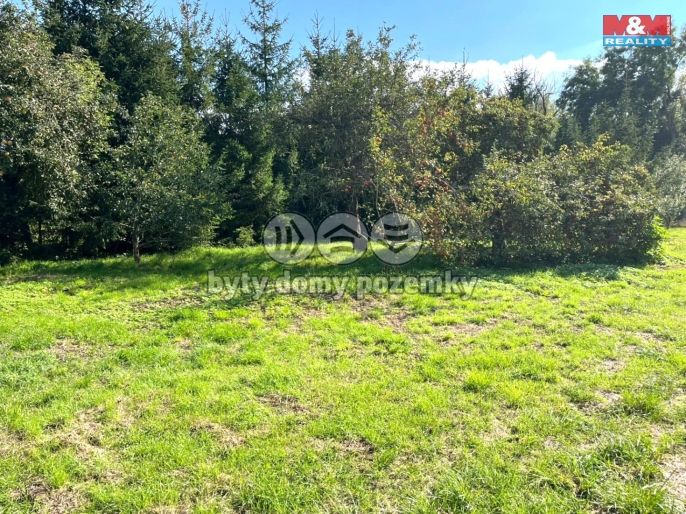 Prodej, Zahrada, Vršovice